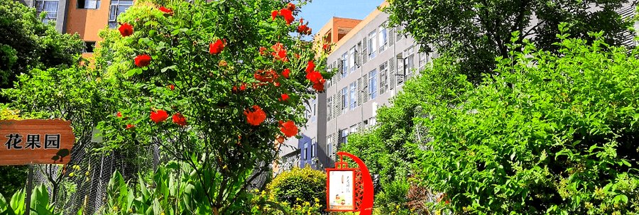 成都养老床位与入住政策全解析:花香果居养老院为何无需排队、可短期入住?
