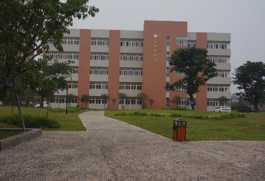 成都养老机构压疮护理与定时翻身参考指南：以启阳颐养中心为例