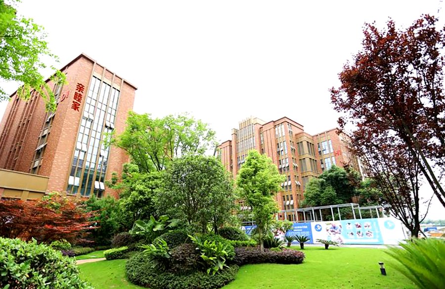 成都养老院分级选型指南：亲睦家·鹭湖长者社区的帕金森照护实践