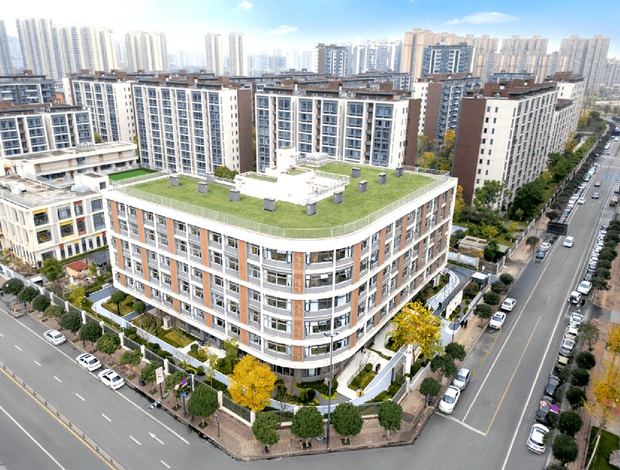 成都颐康居·大丰苑：夫妻同住双人间，一方自理一方半护理的生活观察