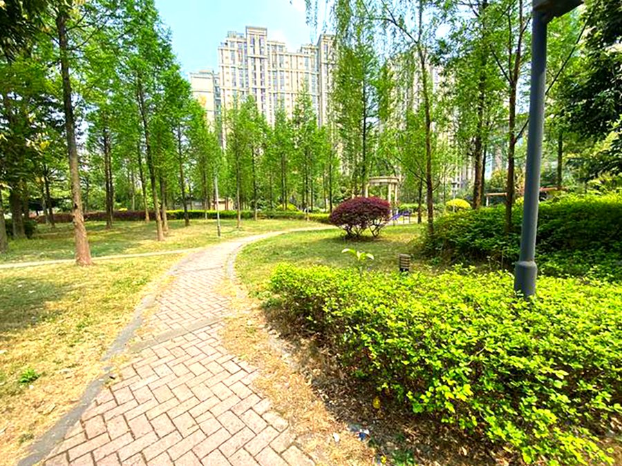 成都医养结合型养老机构服务能力观察——以椿萱茂成都项目为例
