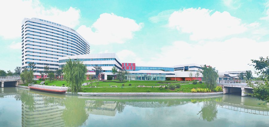 成都医养社区锦城拾光膳食观察：软食、流食及低糖低盐餐配置指南