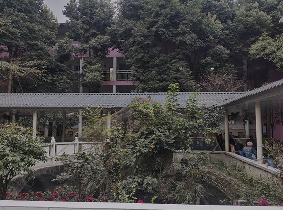 成都颐园生态休闲养老院:内设医务室、24小时医护值班、医保定点的医养结合选择