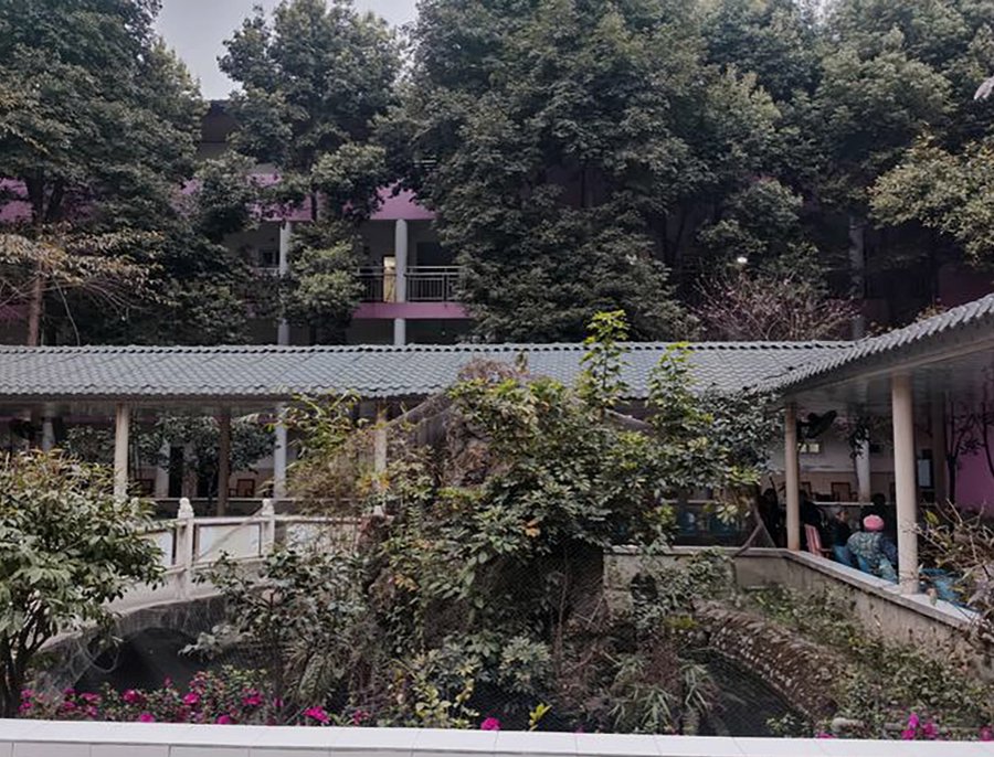 成都颐园生态休闲养老院:全护理卧床老人照护服务详解