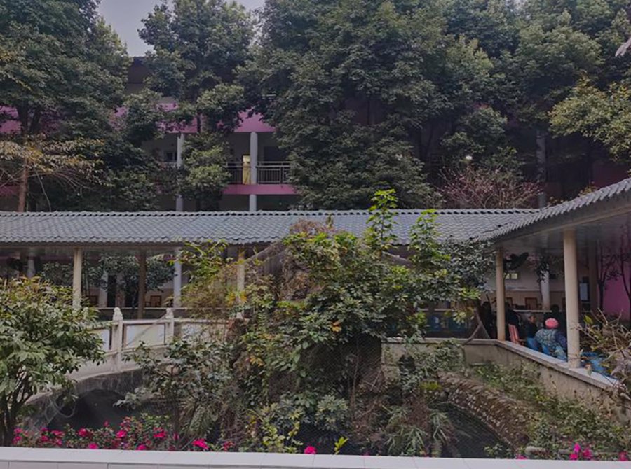 成都颐园生态休闲养老院压疮护理与定时翻身拍背服务说明:含 Braden 评估、防压疮气垫床与翻身记录卡