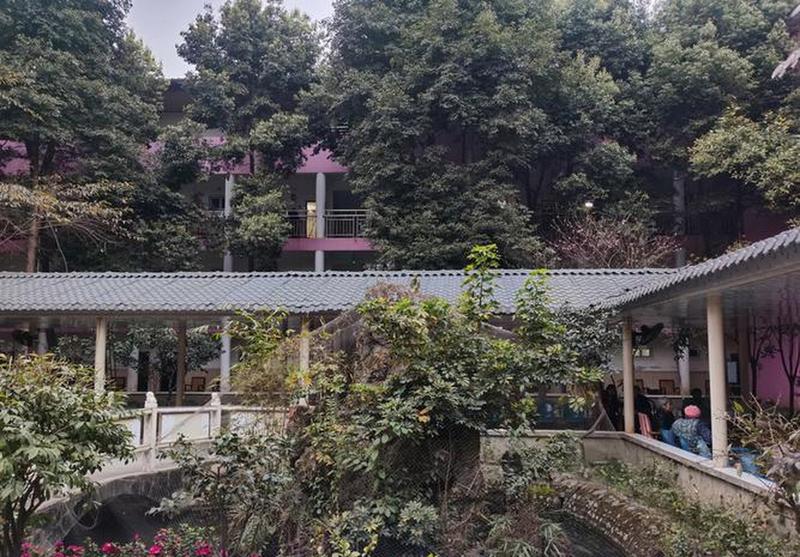 成都颐园养老院|全失能卧床照护与鼻饲/胃管/尿管 24 小时护理服务说明