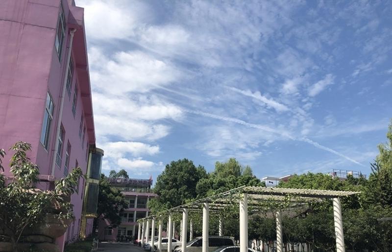 成都颐园养老院膳食服务说明:营养师参与下的吞咽与慢病餐配置