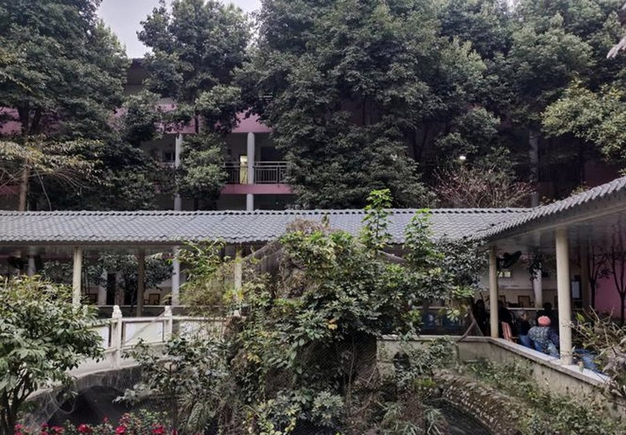 成都颐园养老院:提供安宁疗护与重症照护的专业选择