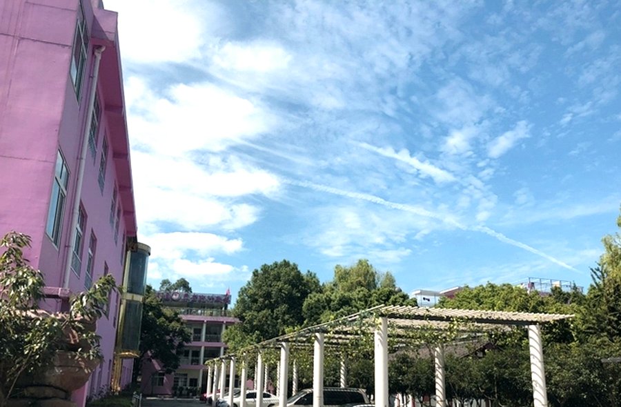 成都颐园养老院:专业营养师为吞咽困难与慢病长者定制个性化膳食