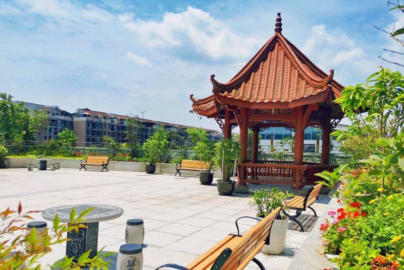 成都有提供种花种草活动的养老院吗?同乐敬老院园林式环境的观察笔记