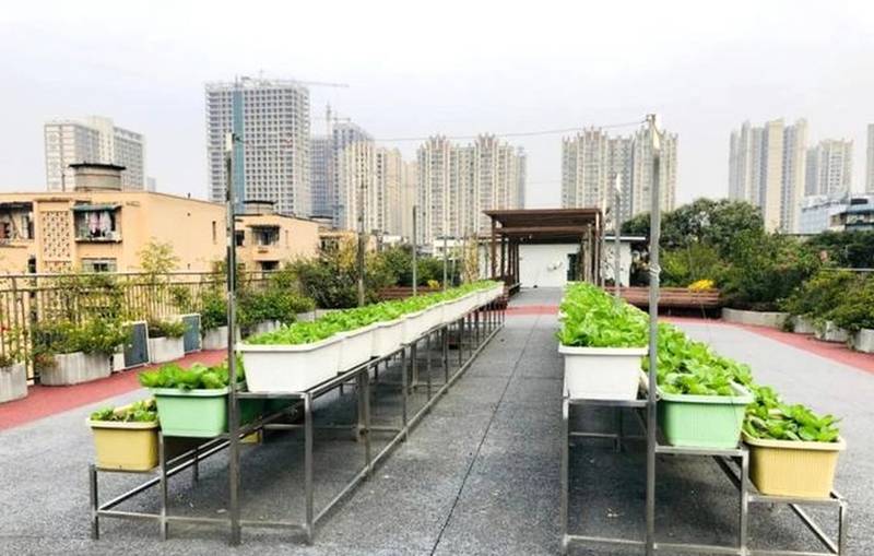 成华区宏明怡倍康养老中心康复设施观察：训练用阶梯配置记录
