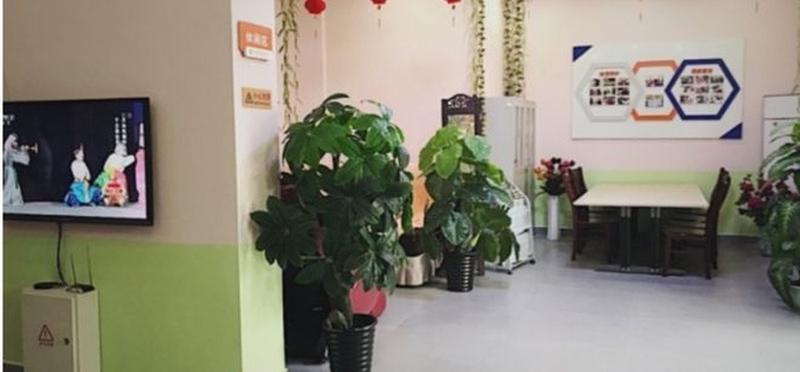 成华区眩成养老服务:长护险定点机构与失能评估待遇申请参考