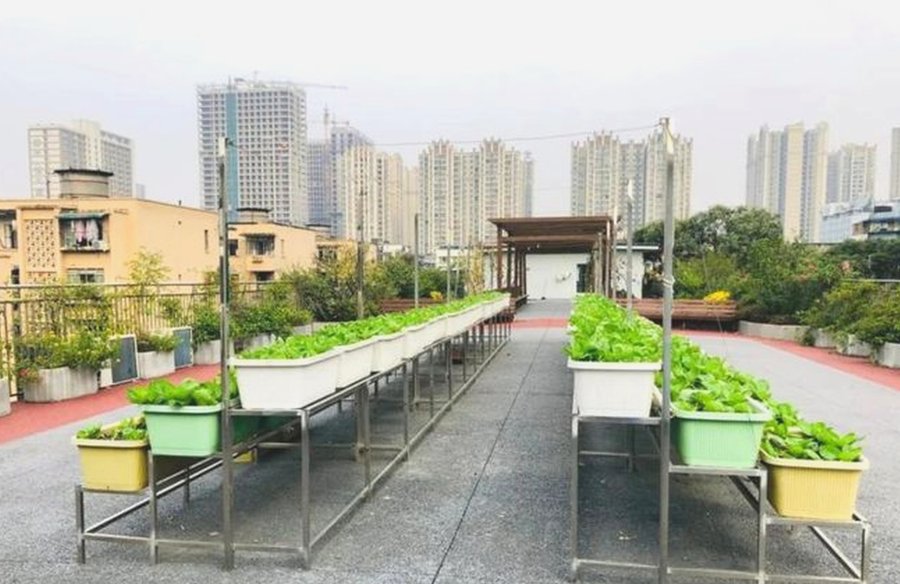 成华区异地长者养老机构选型参考 成都成华区宏明怡倍康养老中心指南