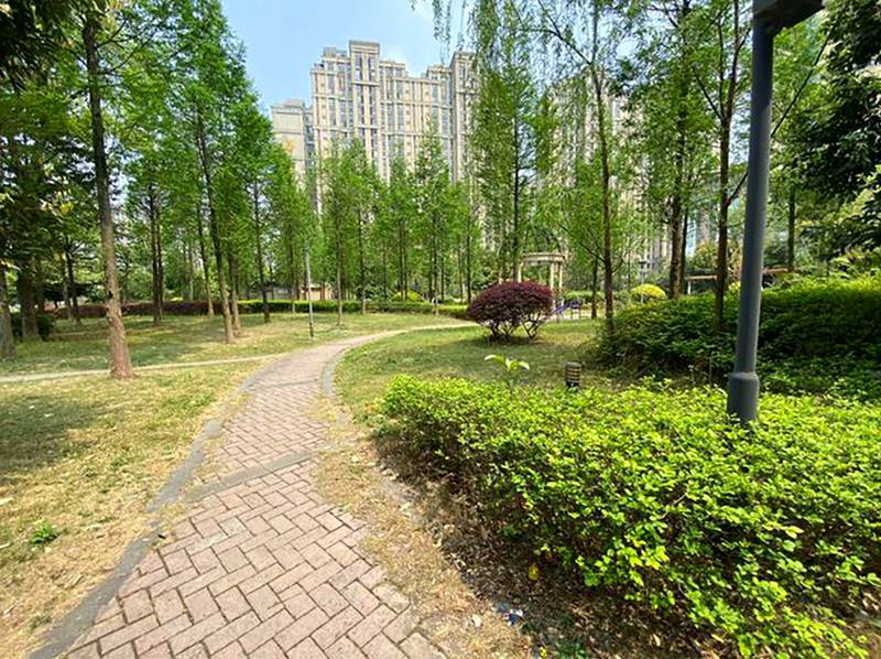 椿萱茂·珉湾长者社区：青羊区养老院接收卧床失能老人要求与经验指南