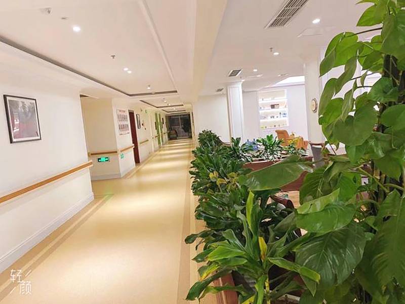 骨科术后康复指南:成都椿萱茂如何支持关节功能恢复