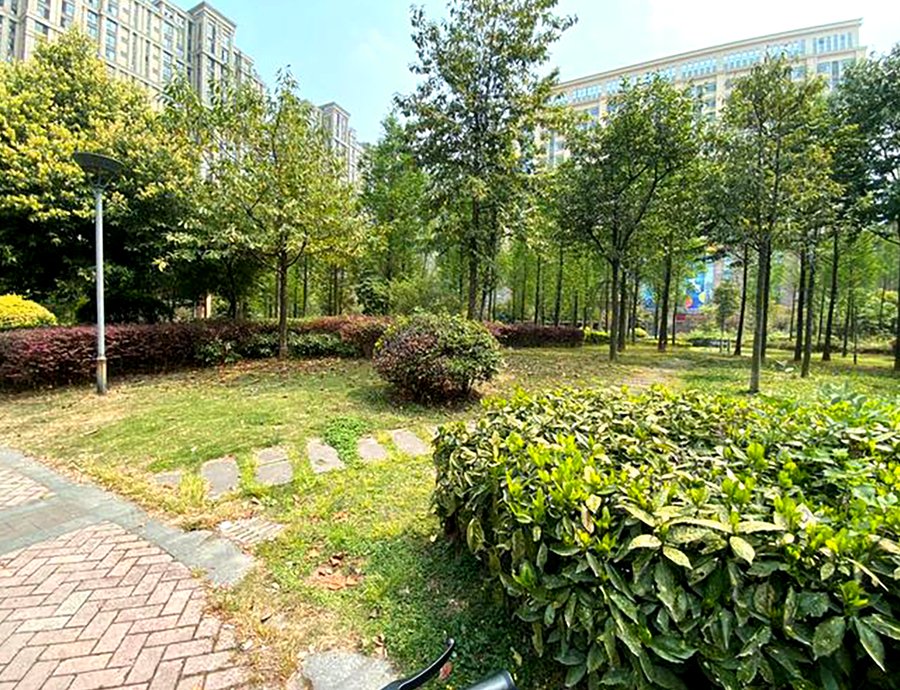 骨折术后康复之路:椿萱茂老年公寓如何助力成都长者重拾行走