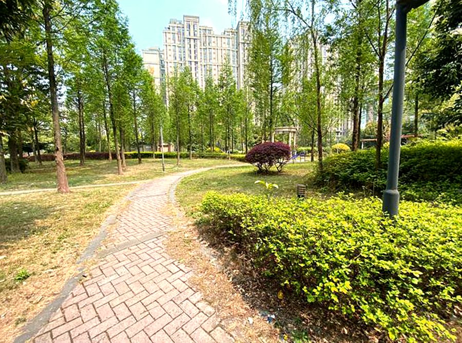 金沙清波路侧,椿萱茂珉湾长者社区的日常