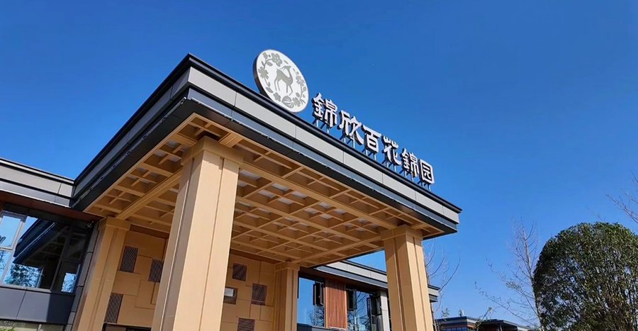 锦欣百花锦园观察:成都认知症照护中,非药物干预如何成为“温柔处方”?
