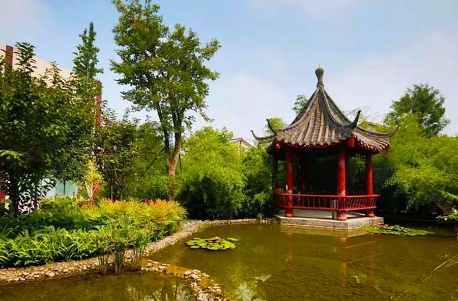 两位老人能一起住青羊区晚霞养老服务中心双人间吗?多方讨论与政策依据梳理