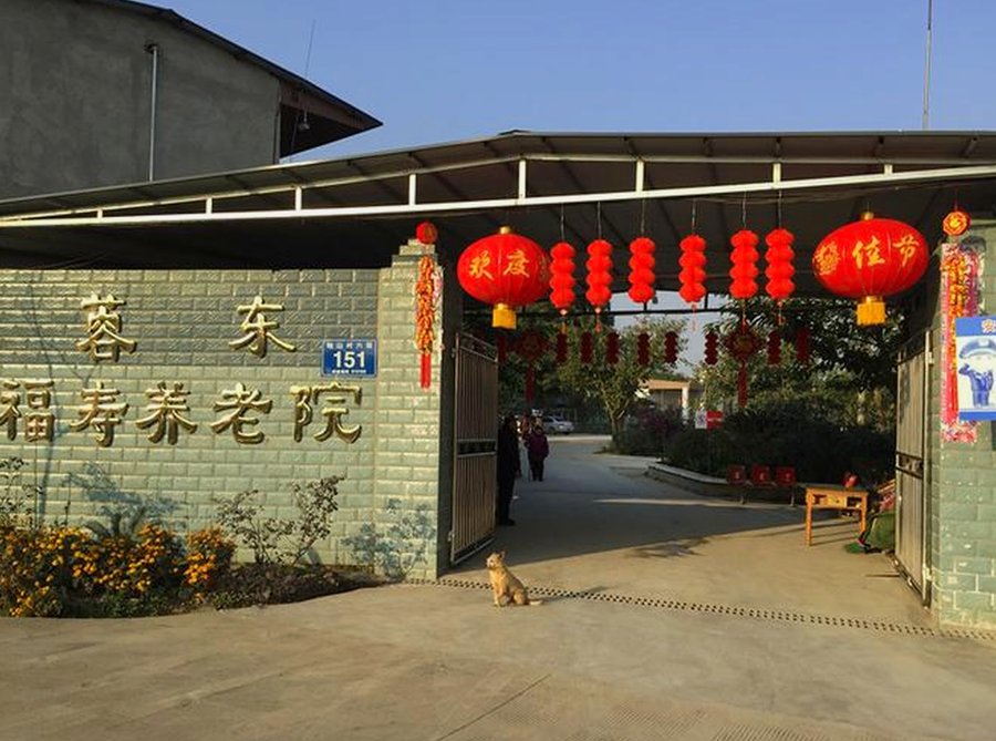 龙泉驿区成都龙泉蓉东福寿养老院护理型机构考察参考:术后康复与短期托养服务差异梳理