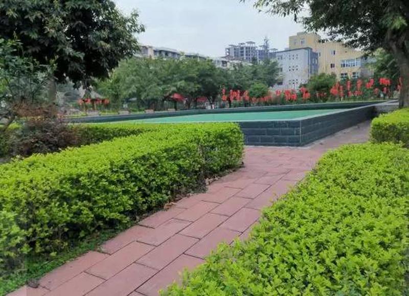 龙泉驿区启阳颐养中心:脑梗后遗症康复训练与长护险办理参考