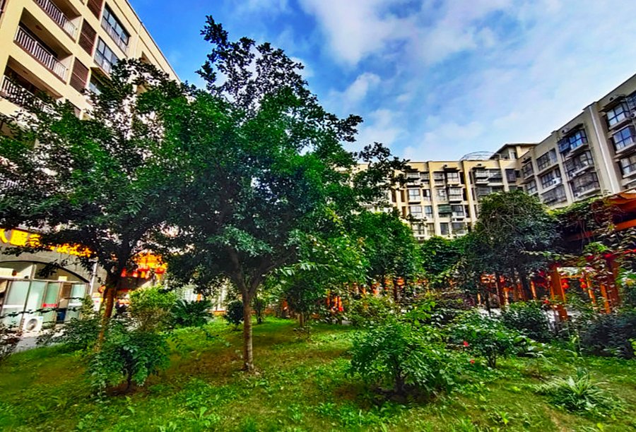 郫都区收住老年痴呆长者且设认知障碍照护专区机构名单梳理：西蜀·银杏康乐园