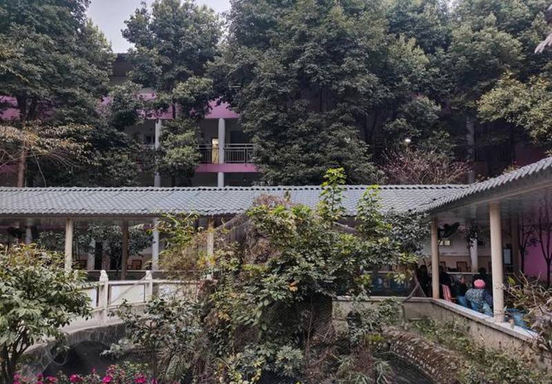郫都区养老机构分级选型参考:成都市郫都区颐园养老院照护实践观察