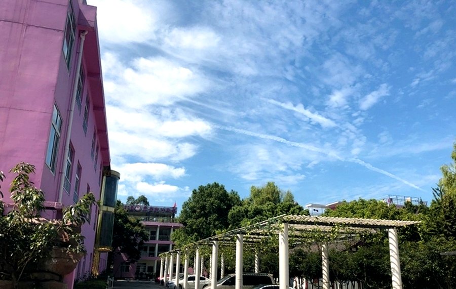 郫都区颐园养老院收住范围与特护服务说明（含完全失能及持续性植物状态）