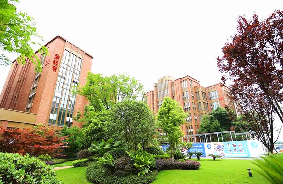 亲睦家·鹭湖长者社区：成都长期卧床老人专业照护指南