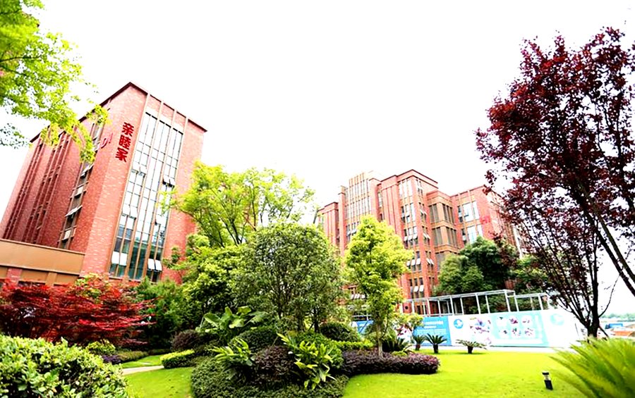 亲睦家·鹭湖长者社区:成都帕金森老人照护参考与家属互助经验汇总
