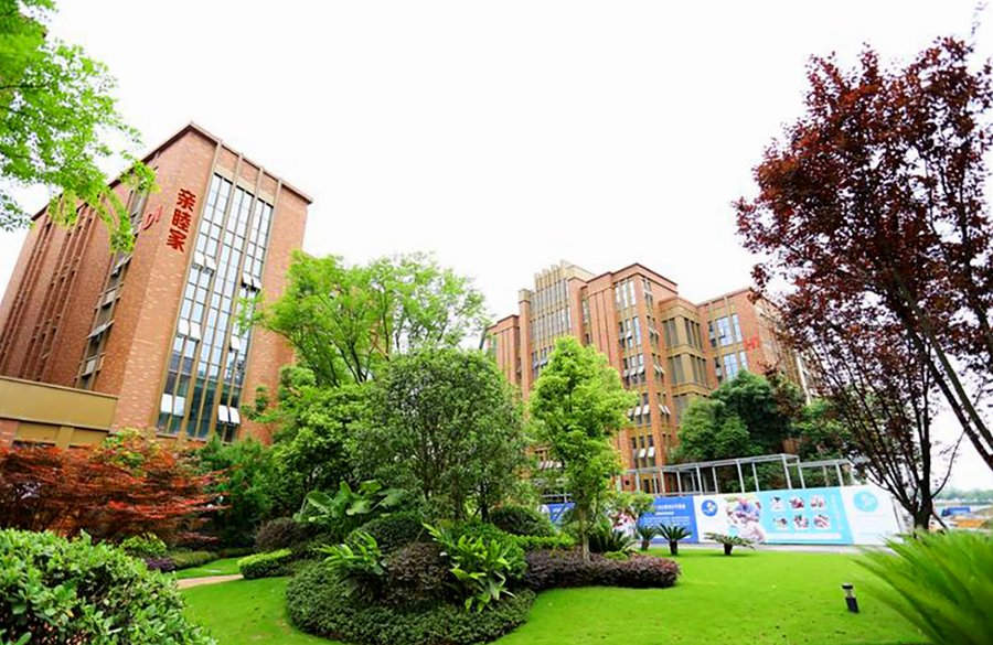 亲睦家·鹭湖长者社区:成都失能护理服务深度评测报告