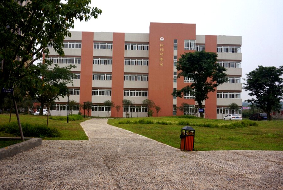 青白江红阳颐养居：安宁疗护服务指南