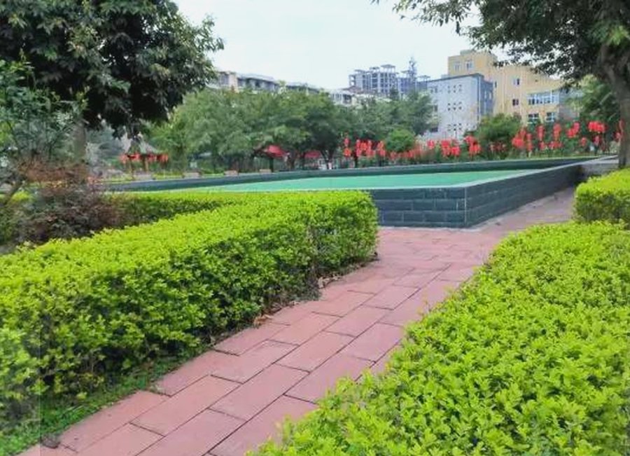 青白江红阳颐养居:术后与认知康复服务的观察
