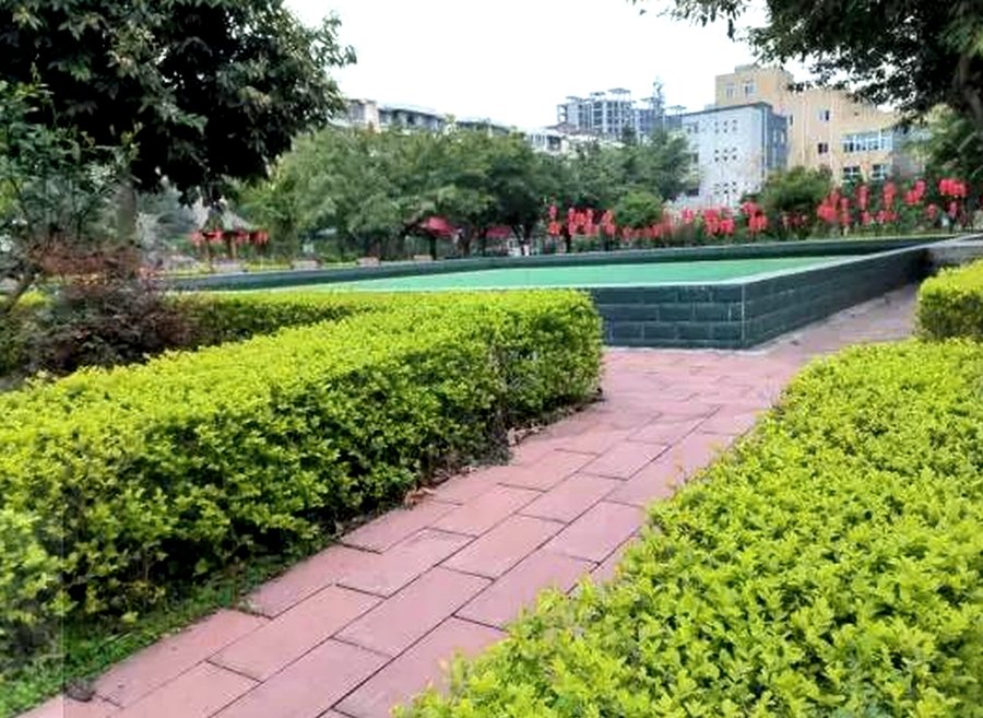青白江区红阳颐养居:自理、半失能、全失能照护费用与收费标准参考