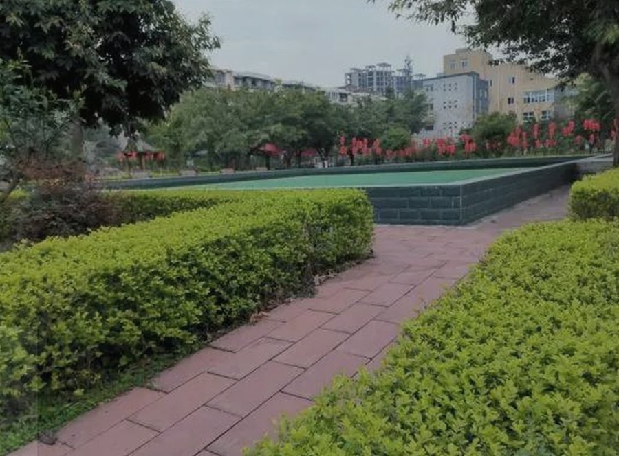 青白江区养老院实地参观攻略:成都青白江红阳颐养居活动空间核查细节