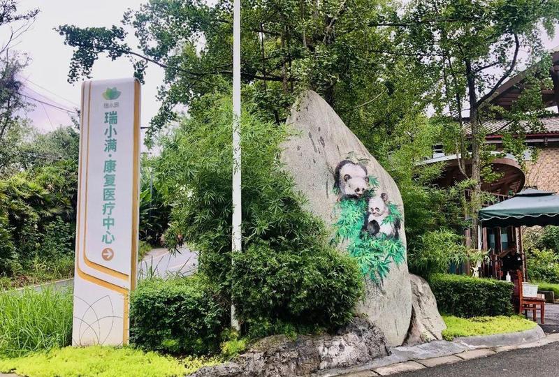 青白江养老服务怎么选:从需求分级到瑞小满·杏花颐园照护适配参考