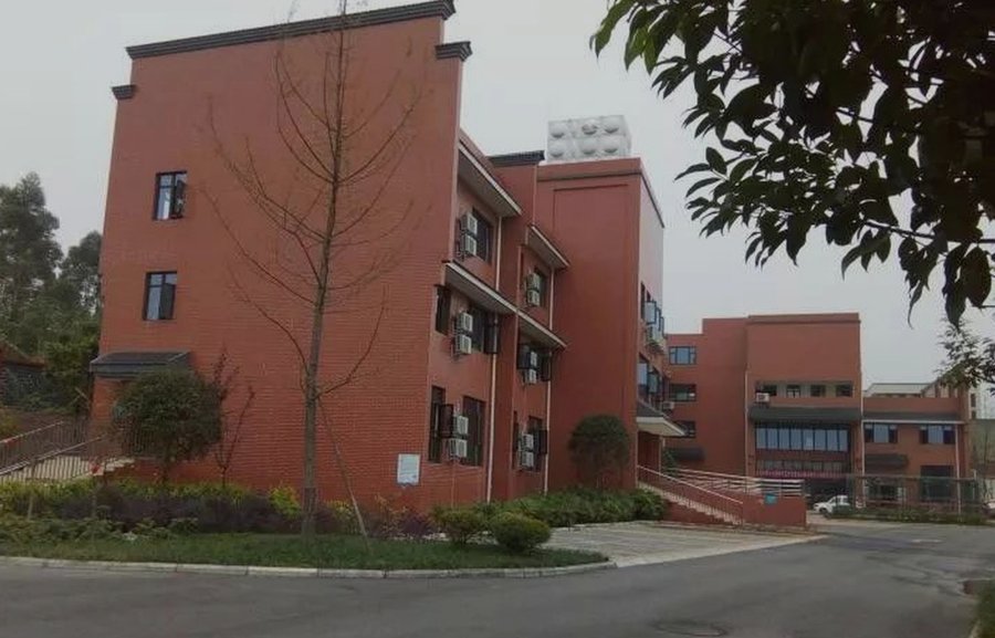 清泉中心敬老院福洪分院：青白江养老院的糖尿病餐、低盐低脂餐与流食软食服务解析