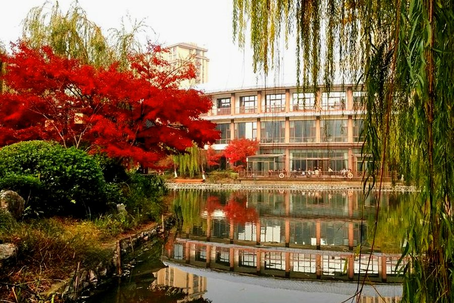 双流半失能长者照护养老机构 成都市金秋颐养中心分级选型参考指引