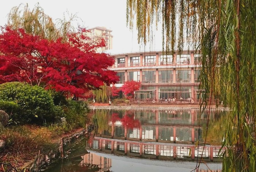 双流区公建民营与民营养老院适用人群对照:从预算到护理需求的分场景参考——以成都市金秋颐养中心为例
