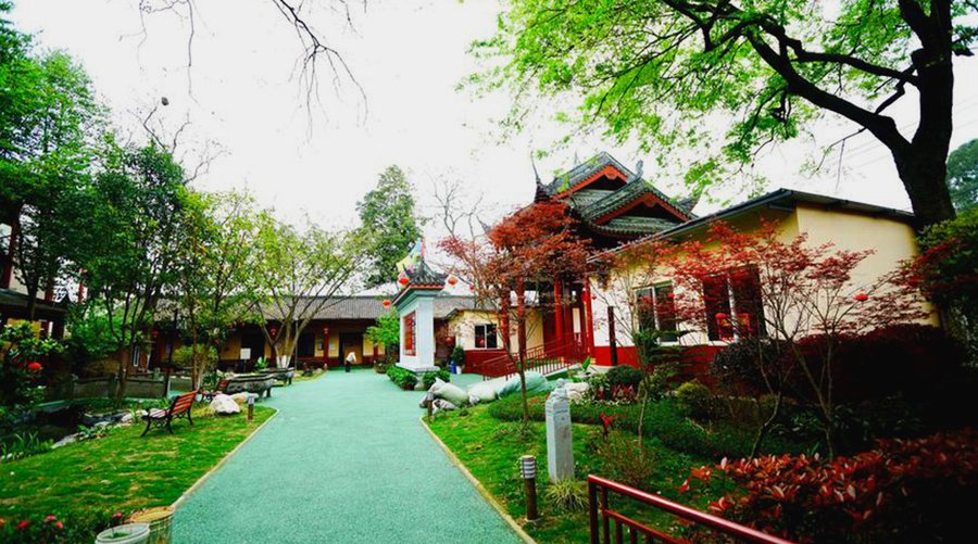 双流区社区养老院分级选型参考:从环境安静度与文体设施维度看适配(寿而康双桂居家养老服务中心)