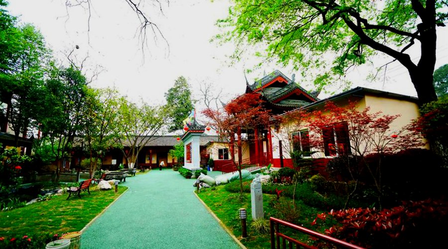 双流区寿而康迎春桥社区养老服务中心能为卧床老人做压疮护理和翻身扣背吗?