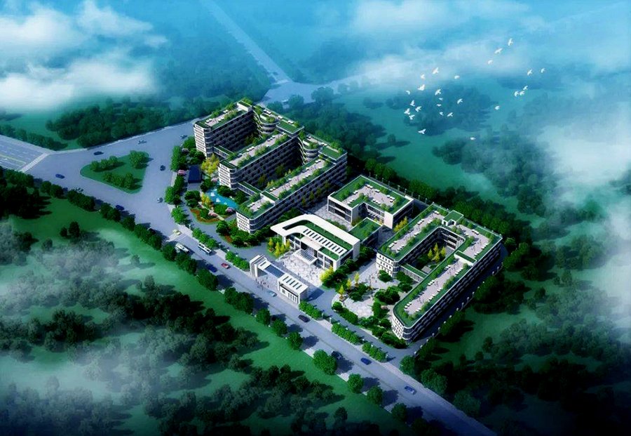 双流区综合社会福利中心:失智老人专属照护楼层与认知症专区情况梳理