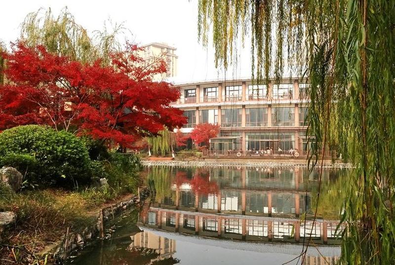 双流一对一特护养老院怎么选?实地走访金秋颐养中心后的真实记录