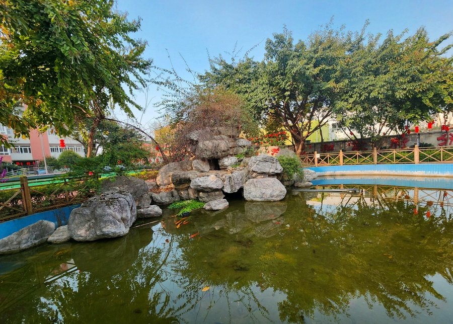 探访成都青白江区大同养护院:医养结合模式如何守护长者健康?