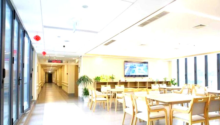 吞咽障碍老人膳食管理:IDDSI Level 4标准在成都金樾荟养护中心的落地实践