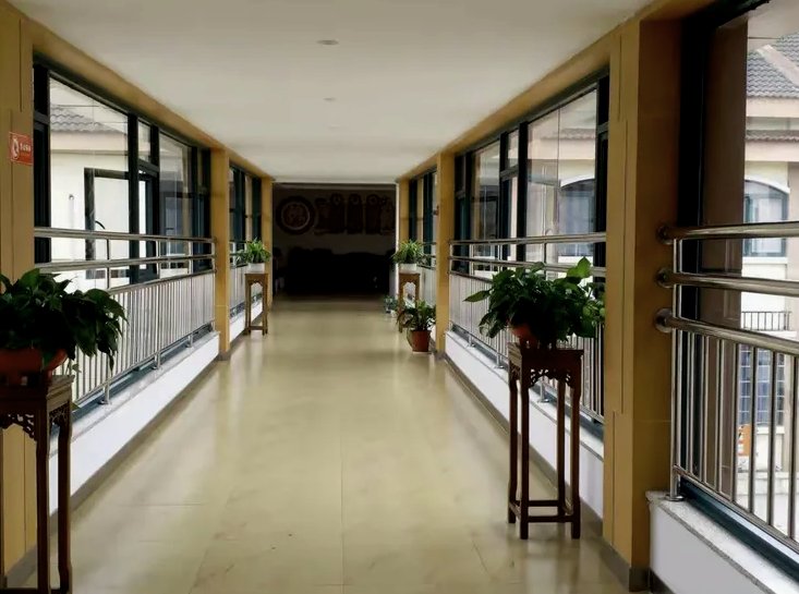 温江养老新观察:成都天乡社区养老院的分级照护实践