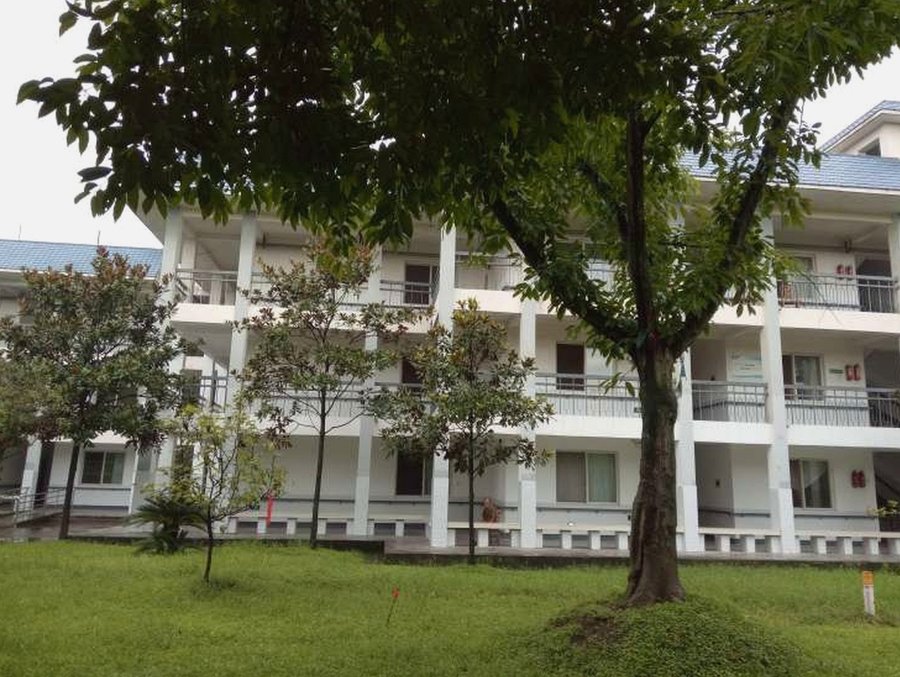 新津区邓双中心敬老院:提供鼻饲餐与糖尿病餐的养老照护参考