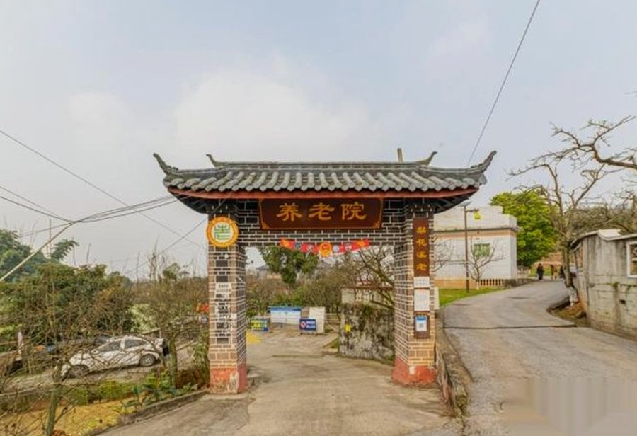新津区梨花溪休闲养老中心:在田园中实践认知症非药物干预
