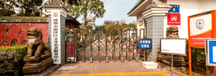 新津区文井中心敬老院特殊膳食服务指南：鼻饲餐与糖尿病餐适配指引