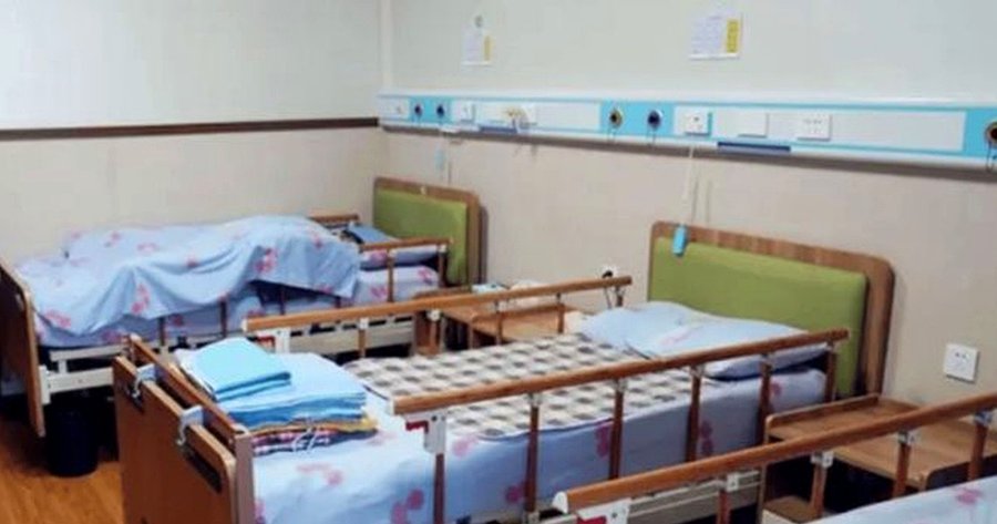 在成都挑选静养之所,探访龙泉聚宝山养老中心的森林康养实践
